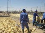 images/gallery/4_33-11kv_substations_in_basra_governorate/02.jpg